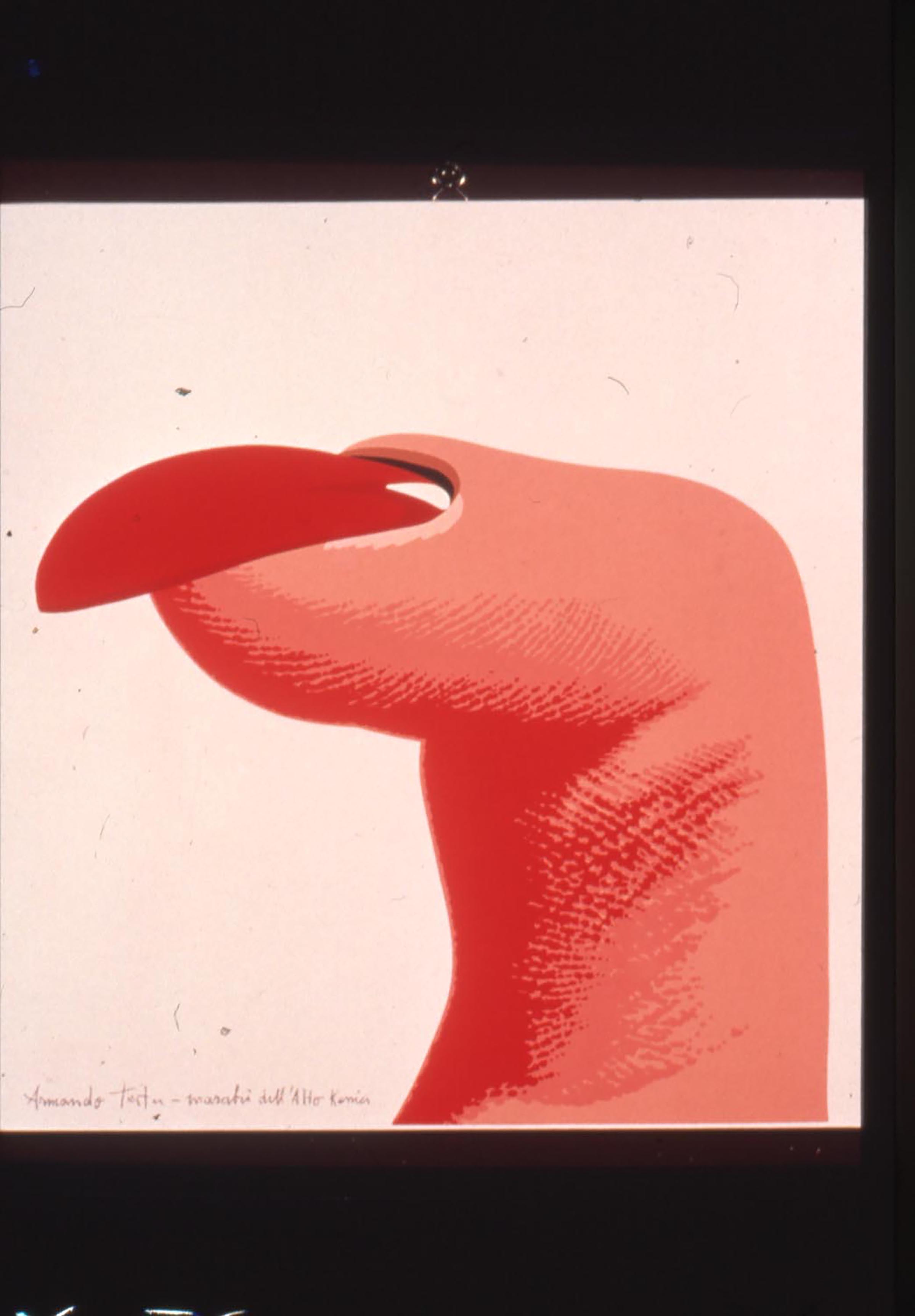 Armando Testa, Marabù dall'alto Kenia, 1977